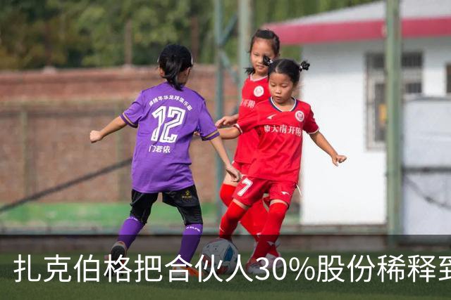 扎克伯格把合伙人30%股份稀释到0.03%，展现资本世界的残酷